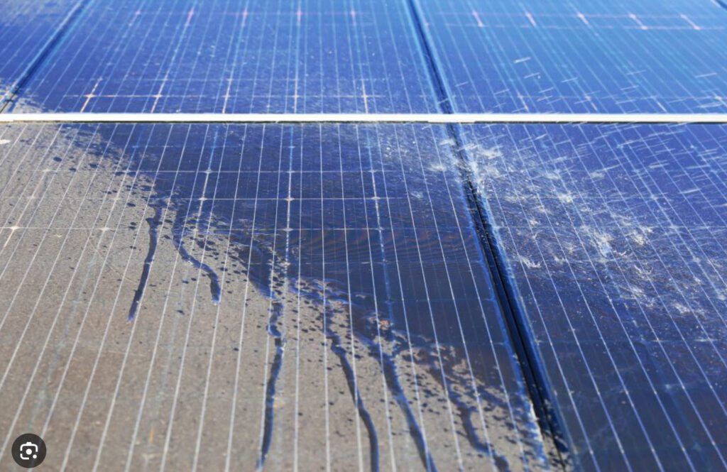 solar panel cleaning